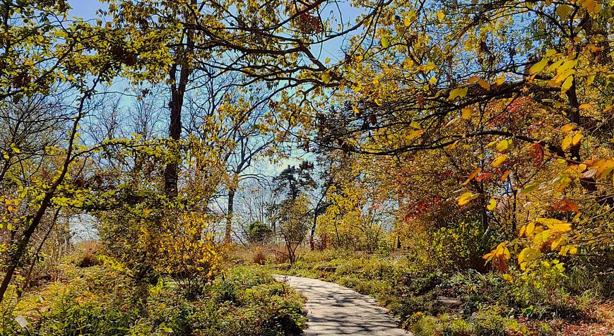 Shaw Nature Reserve, United States